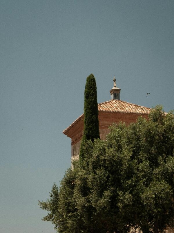 prácticas en Valdemoro